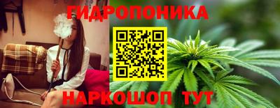 мяу мяу мука Кингисепп
