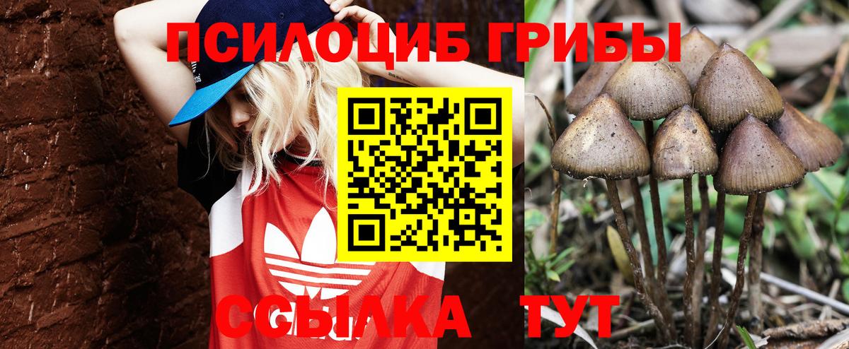 Псилоцибиновые грибы мухоморы Липецк